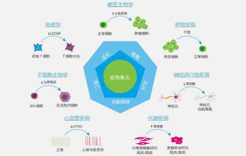 全新安捷倫Seahorse XF底物氧化壓力測試產品 推動自然科學研究與試驗發展